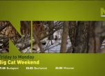 Уикенд на големите котки по Viasat Nature