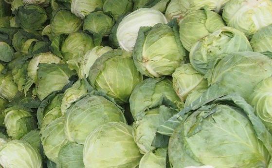 БАБХ спря продажбата на над 20 т вносни зеленчуци с пестициди