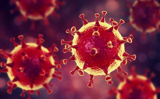 Заразени без симптоми предават коронавируса в 70 на сто от случаите