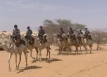 Евросъюзът купи за граничарите на Мавритания 270 бойни камили