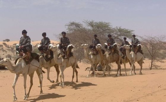 Евросъюзът купи за граничарите на Мавритания 270 бойни камили