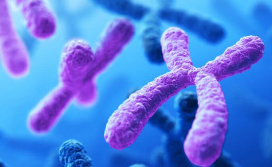 Генетик обясни защо мъжете по-често умират от коронавирус - виновна е Y-хромозомата