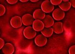 Онкохематолог: Лечението с кръвна плазма е доказан метод