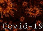 Глобалните данни: Над 3 милиона са заразените с COVID-19, починалите са над 209 000