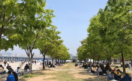 Нито един заразен местен жител в Южна Корея въпреки отворените паркове