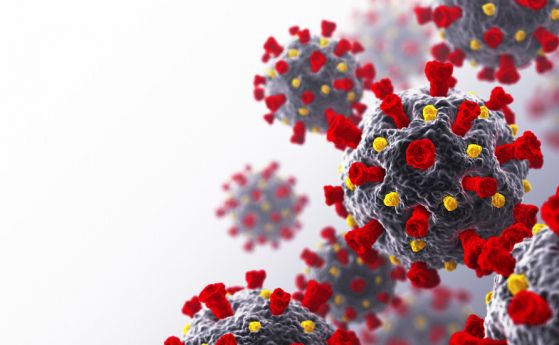 Климатът и температурата не влияят върху разпространението на коронавируса, твърдят учени