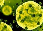 Три университета в Турция изпитват ваксина срещу коронавируса