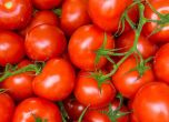 В кризата поевтиняха само домати и краставици, другите цени растат