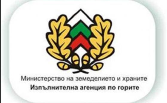 Уволниха двама инспектори на Дирекция по горите в Бургас, взели подкуп