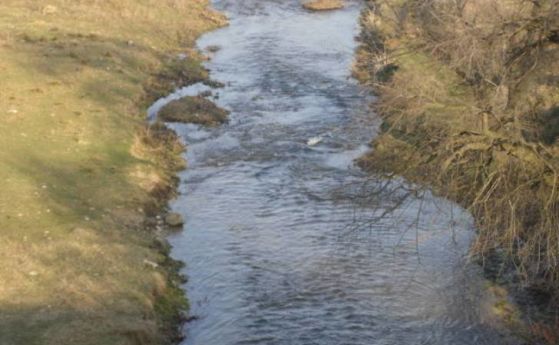 Две реки край Старосел потекоха в черно, рибата измря