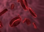 Откриха защо хората с кръвна група А по-често се заразяват с COVID-19