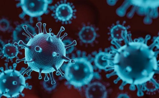 Учени: COVID-19 е два пъти по-заразен от другите коронавируси