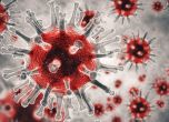 33 заразени с коронавирус, но и само 566 тествани. Няма починал пациент