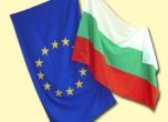 Проучване: Българите по-склонни на твърдо управление с лидер, неподвластен на парламента