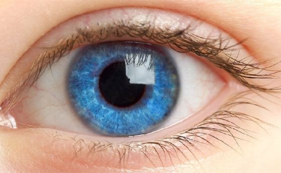 Учени от Генуа изобретиха течна ''протеза'' на ретина