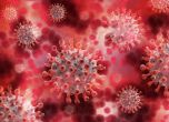 Нов взрив на коронавирус у нас: 18 шивачки от цех в Кричим са заразени