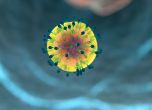 Много повече хора може да имат имунитет срещу COVID-19, отколкото показват тестовете