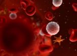 Опасно антитяло в кръвта на хора с тежка форма на COVID-19 откриха учени