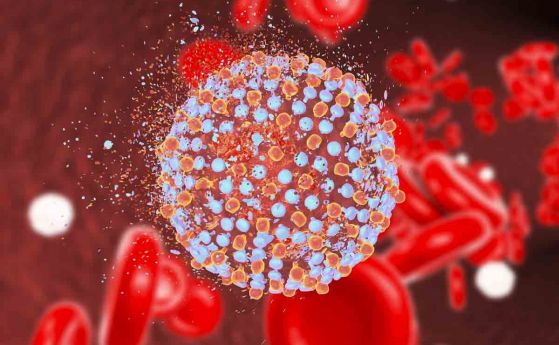 Световен ден за борба с хепатита - 90% от хората не знаят, че носят вируса