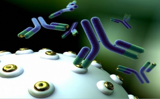 Учени: Коктейл от антитела предотвратява и лекува COVID-19