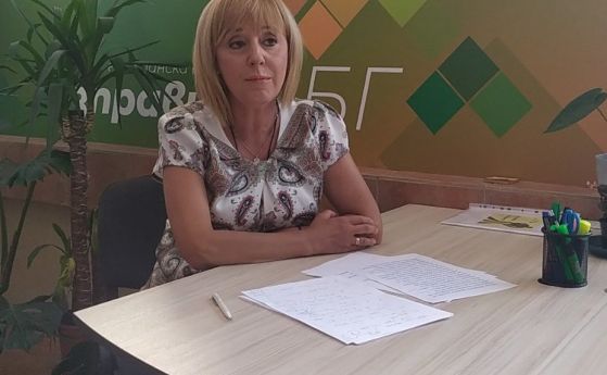 Мая Манолова призова президента да поиска референдум по промените в конституцията