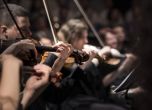 Изследване: Класическите концерти при пълни зали са безопасни, публиката им е по-дисциплинирана