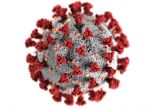 Още 151 с коронавирус, 8 починаха за последното денонощие