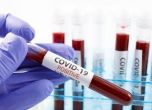 Заразените с коронавирус вече са над 16 000
