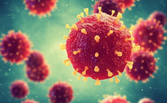 Учени изследват имунния отговор на COVID-19