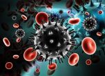 САЩ пускат в употреба тест, който различава грип от COVID-19