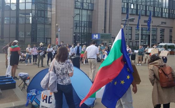 Евродепутати подкрепиха БГ протеста в Брюксел: Добре дошъл в демокрацията, г-н Борисов! (видео)