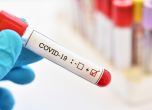 154 са новите случаи на COVID-19 у нас, още 10 души починаха