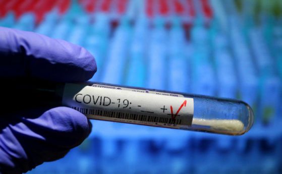 Дания умъртвява 1 милион норки заради огнища на коронавирус