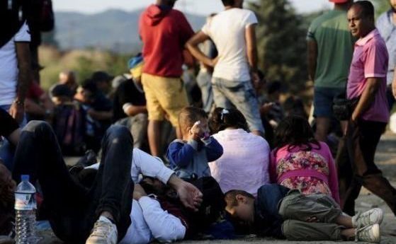 България е предложила да приеме 70 мигранти от Лесбос