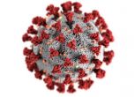 Заразените с коронавирус вече са 7,6%  от изследваните