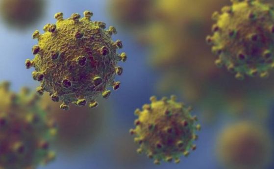 Повторното заразяване с коронавирус буди тревоги за имунитета