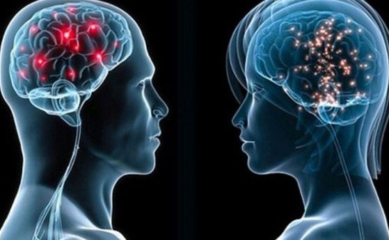 Бразилски учени: Коронавирусът убива неврони в главния мозък