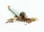 Мъж отива на съд заради незаконен тютюн, а негова близка - за лъжесвидетелстване