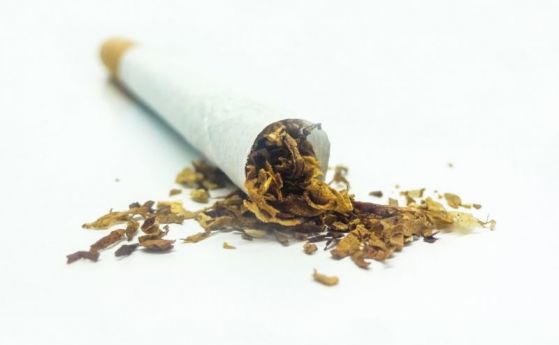 Мъж отива на съд заради незаконен тютюн, а негова близка - за лъжесвидетелстване