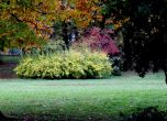 Борисовата градина: най-красива ли е през есента? (галерия)