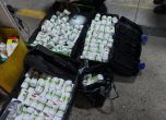 Митничари задържаха 485 опаковки с болкоуспокояващо на ГКПП Ферибот Оряхово
