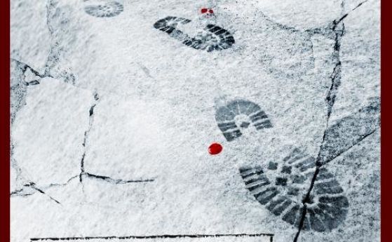 'Снежна слепота': Безпощадна криминална виелица от Рагнар Йонасон