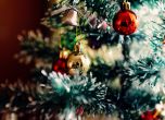 Препоръки на СЗО: Коледа в тесен семеен кръг