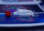 Изследване на Харвард: Масово тестване може да спре пандемията от COVID за 6 седмици