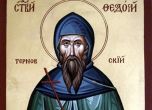 Св. Теодосий основал манастир до Търново
