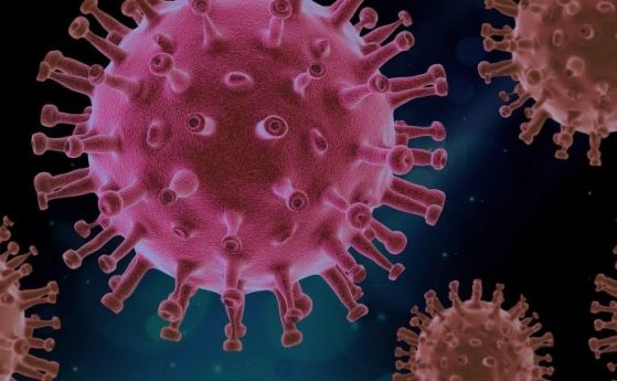 Гърция удължава локдауна до 7 януари, а Дания въвежда по-строги мерки срещу коронавируса