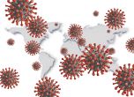 Учени: Седем са основните щамове на новия коронавирус