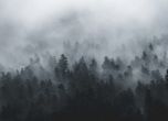 Облачно и дъждовно, мъгли в планините
