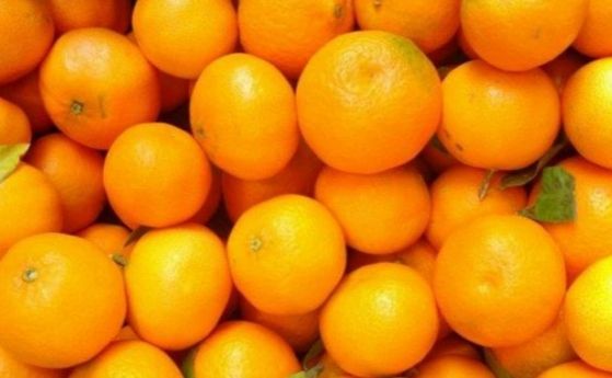 Пестициди над нормата в портокали на пазара