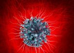 Нова опасност: мутациите се смесиха, коронавирусът става особено заразен за младите хора
